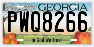 GA license plate PWQ8266