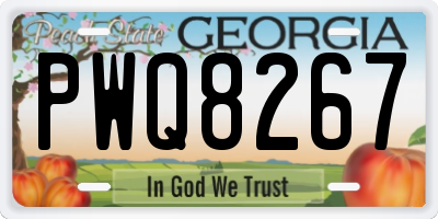 GA license plate PWQ8267