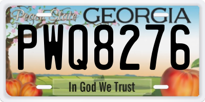 GA license plate PWQ8276