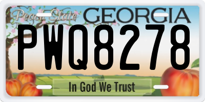 GA license plate PWQ8278