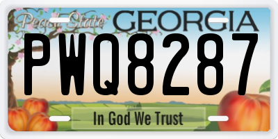 GA license plate PWQ8287
