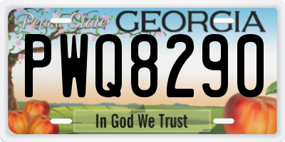 GA license plate PWQ8290