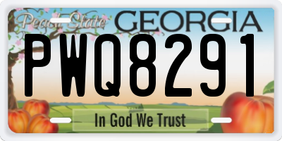 GA license plate PWQ8291