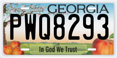 GA license plate PWQ8293