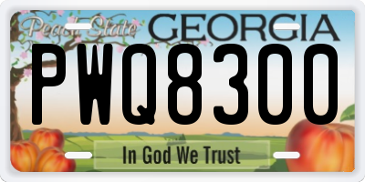 GA license plate PWQ8300