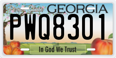 GA license plate PWQ8301