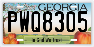 GA license plate PWQ8305