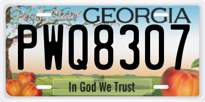 GA license plate PWQ8307