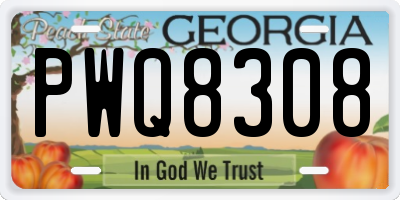 GA license plate PWQ8308