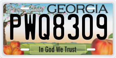 GA license plate PWQ8309