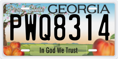 GA license plate PWQ8314