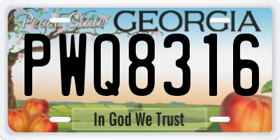 GA license plate PWQ8316