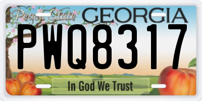 GA license plate PWQ8317