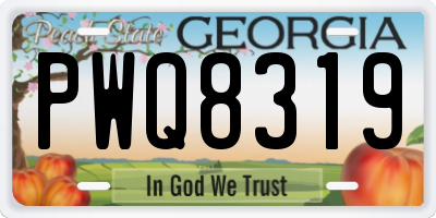 GA license plate PWQ8319