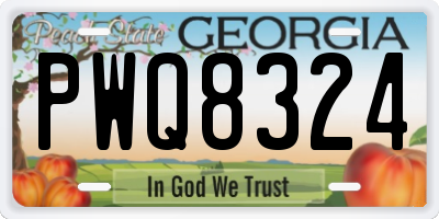 GA license plate PWQ8324