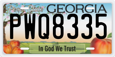GA license plate PWQ8335