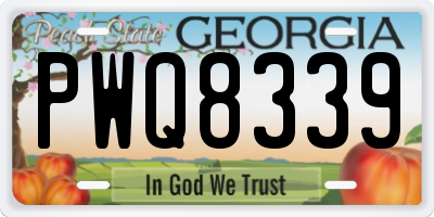 GA license plate PWQ8339