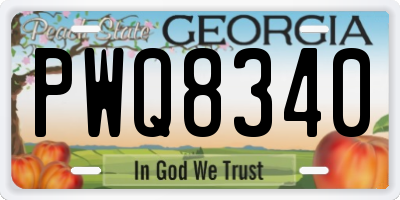 GA license plate PWQ8340
