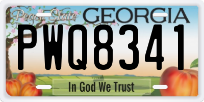 GA license plate PWQ8341