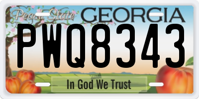GA license plate PWQ8343