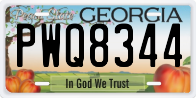 GA license plate PWQ8344