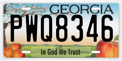 GA license plate PWQ8346