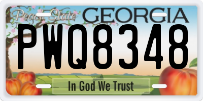 GA license plate PWQ8348