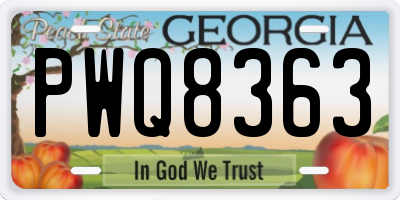 GA license plate PWQ8363