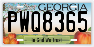 GA license plate PWQ8365
