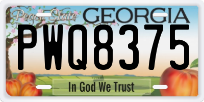 GA license plate PWQ8375