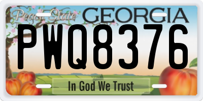 GA license plate PWQ8376