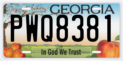 GA license plate PWQ8381
