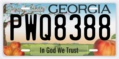 GA license plate PWQ8388