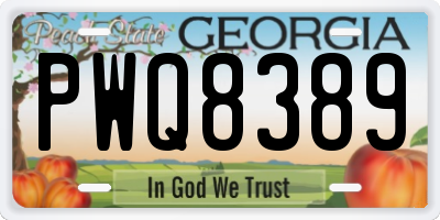 GA license plate PWQ8389