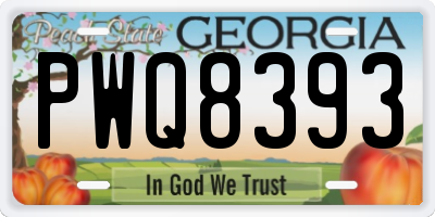 GA license plate PWQ8393
