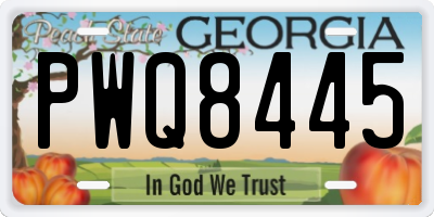 GA license plate PWQ8445