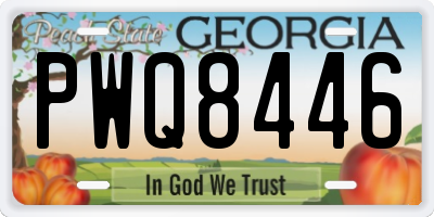 GA license plate PWQ8446