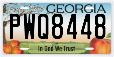 GA license plate PWQ8448