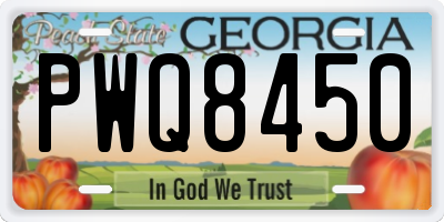 GA license plate PWQ8450