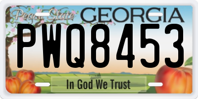 GA license plate PWQ8453