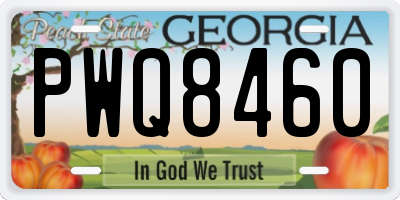 GA license plate PWQ8460