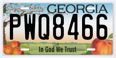GA license plate PWQ8466