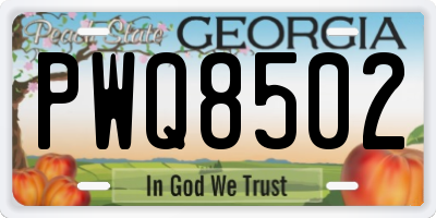 GA license plate PWQ8502