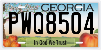 GA license plate PWQ8504