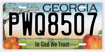GA license plate PWQ8507
