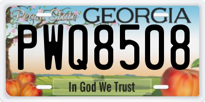 GA license plate PWQ8508