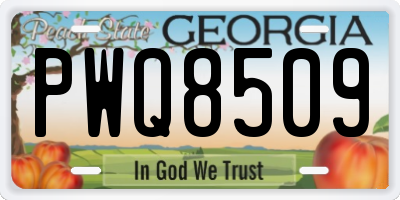 GA license plate PWQ8509