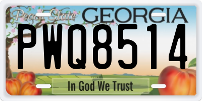 GA license plate PWQ8514
