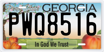 GA license plate PWQ8516