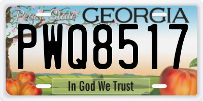 GA license plate PWQ8517